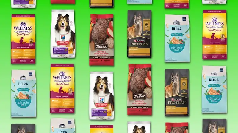 Top Veterinarians Reveal the Healthiest Dog Foods You Can Buy Right Now – See the List!